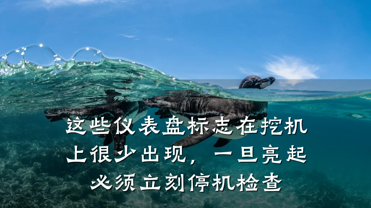 这些仪表盘标志在挖机上很少出现,一旦亮起必须立刻停机检查