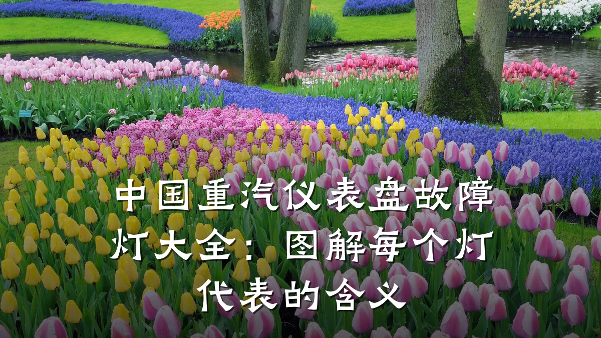 中国重汽仪表盘故障灯大全：图解每个灯代表的含义