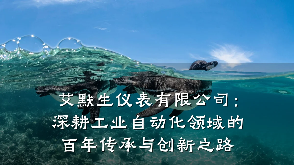 艾默生仪表有限公司:深耕工业自动化领域的百年传承与创新之路