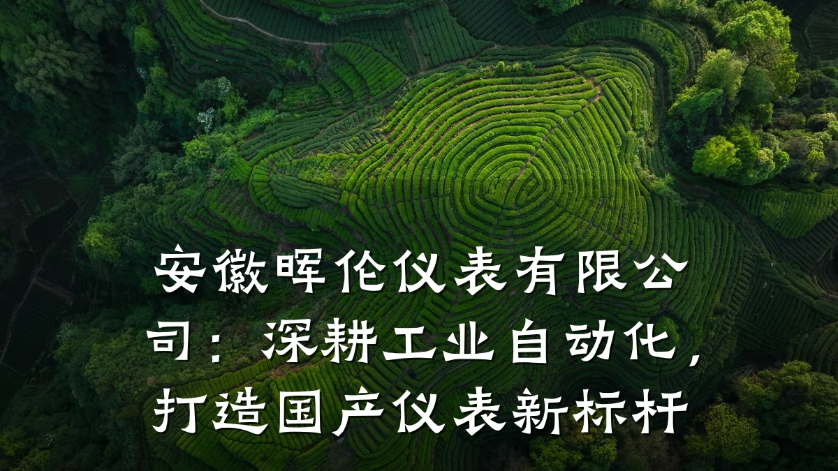 安徽晖伦仪表有限公司:深耕工业自动化,打造国产仪表新标杆