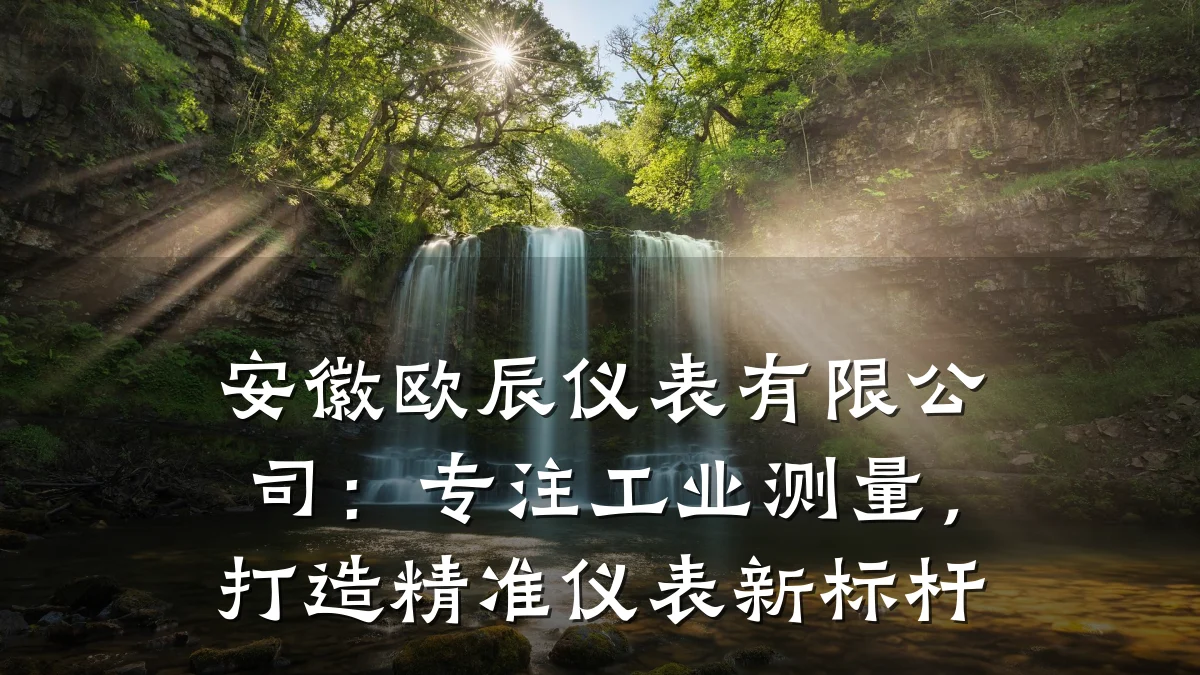 安徽欧辰仪表有限公司:专注工业测量,打造精准仪表新标杆