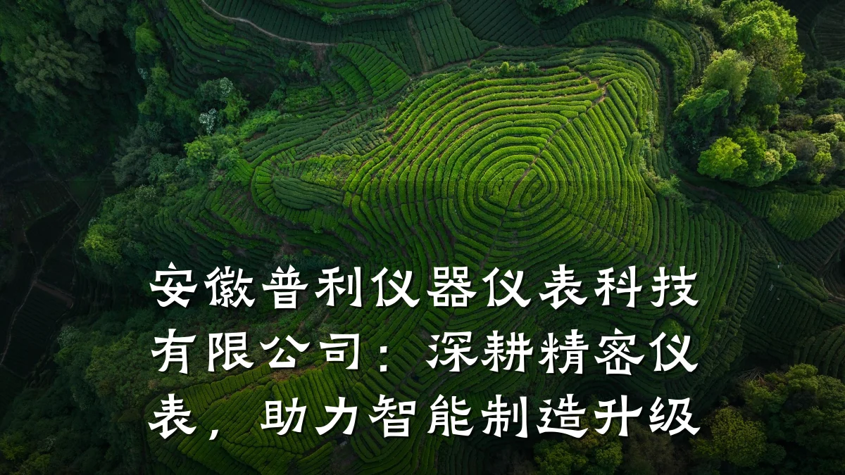 安徽普利仪器仪表科技有限公司:深耕精密仪表,助力智能制造升级