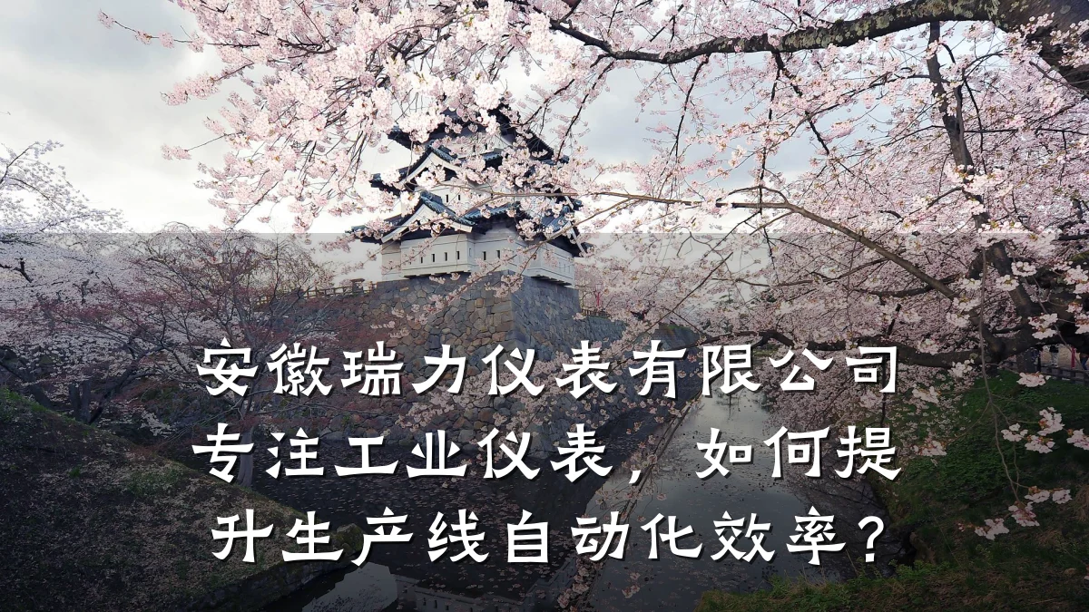 安徽瑞力仪表有限公司专注工业仪表，如何提升生产线自动化效率？
