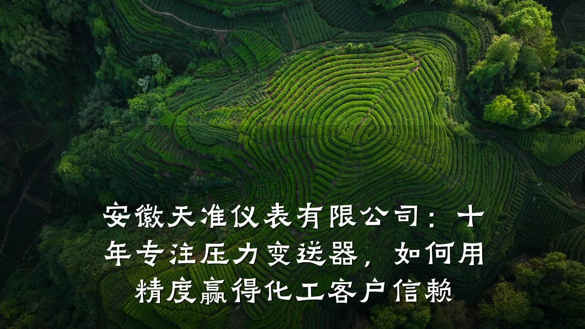 安徽天准仪表有限公司:十年专注压力变送器,如何用精度赢得化工客户信赖