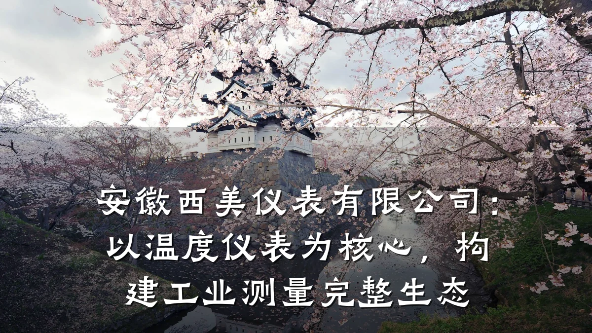 安徽西美仪表有限公司:以温度仪表为核心,构建工业测量完整生态