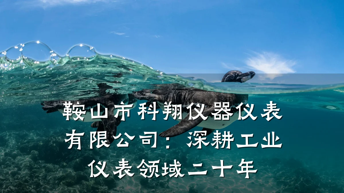 鞍山市科翔仪器仪表有限公司:深耕工业仪表领域二十年