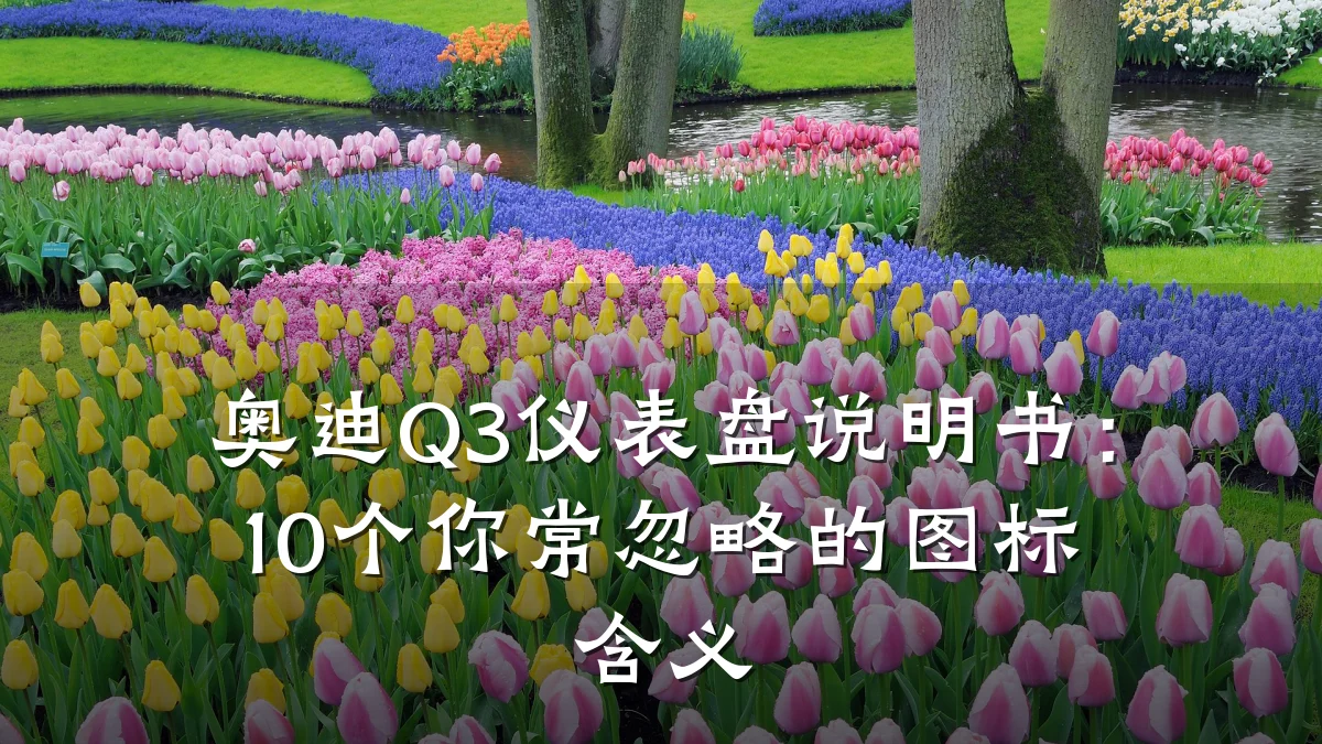 奥迪Q3仪表盘说明书:10个你常忽略的图标含义
