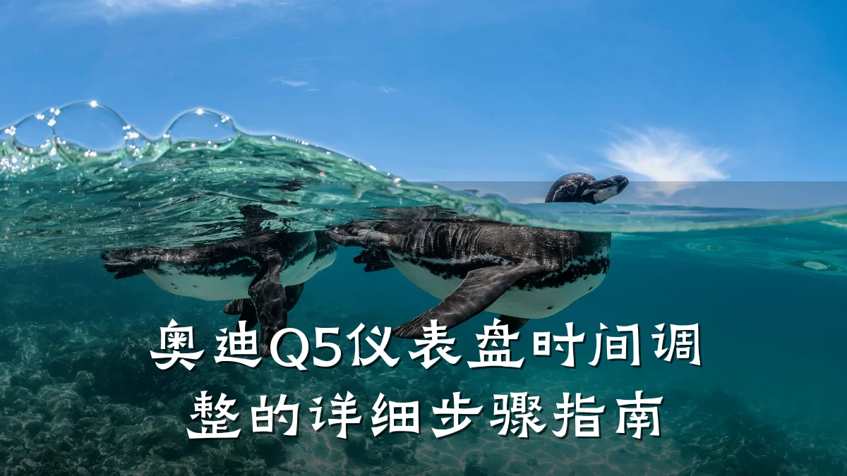 奥迪Q5仪表盘时间调整的详细步骤指南