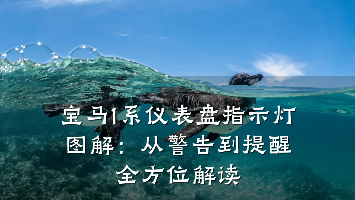 宝马1系仪表盘指示灯图解:从警告到提醒全方位解读