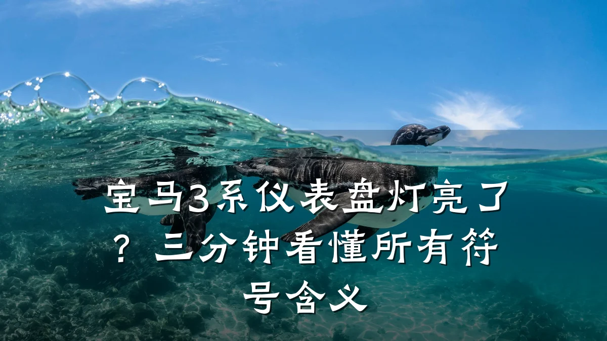 宝马3系仪表盘灯亮了?三分钟看懂所有符号含义