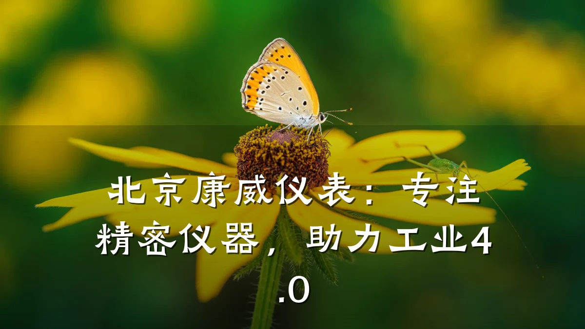 北京康威仪表:专注精密仪器,助力工业4.0