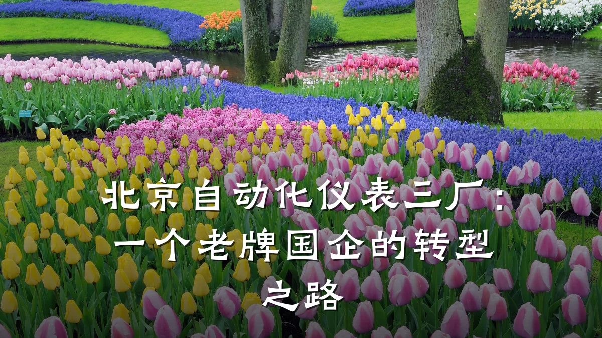 北京自动化仪表三厂:一个老牌国企的转型之路