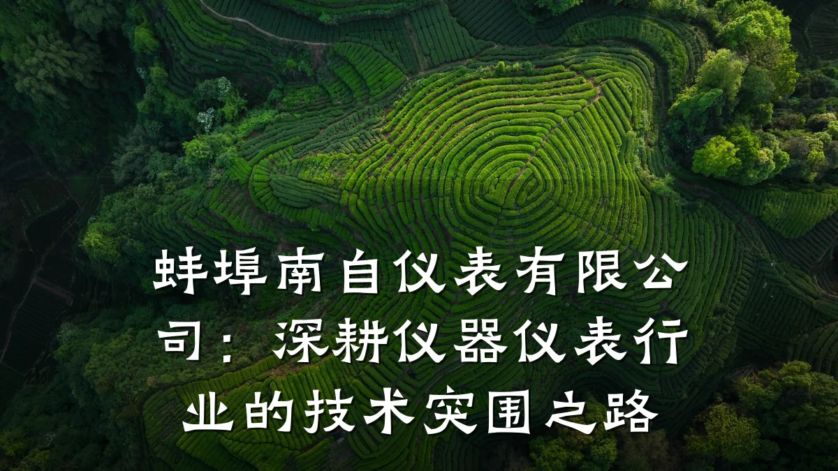 蚌埠南自仪表有限公司：深耕仪器仪表行业的技术突围之路