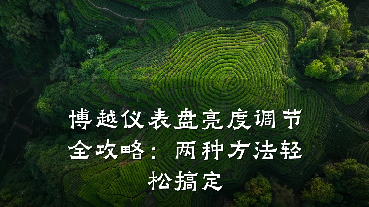 博越仪表盘亮度调节全攻略：两种方法轻松搞定