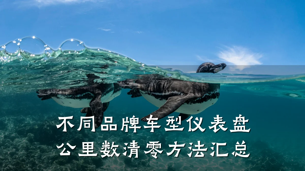 不同品牌车型仪表盘公里数清零方法汇总
