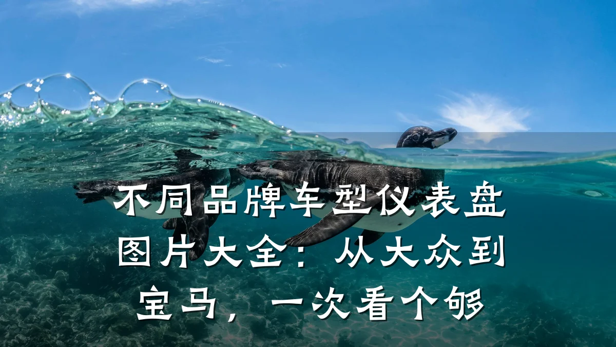 不同品牌车型仪表盘图片大全:从大众到宝马,一次看个够