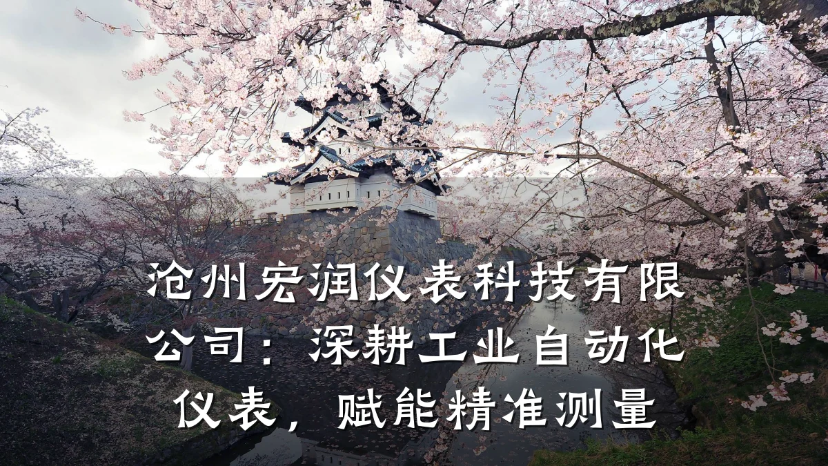 沧州宏润仪表科技有限公司:深耕工业自动化仪表,赋能精准测量