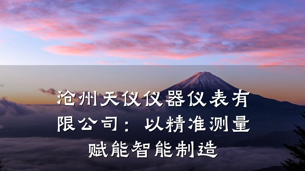 沧州天仪仪器仪表有限公司:以精准测量赋能智能制造