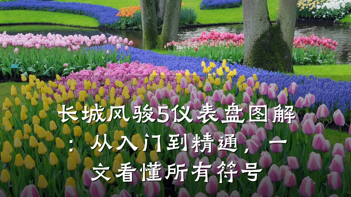 长城风骏5仪表盘图解：从入门到精通，一文看懂所有符号