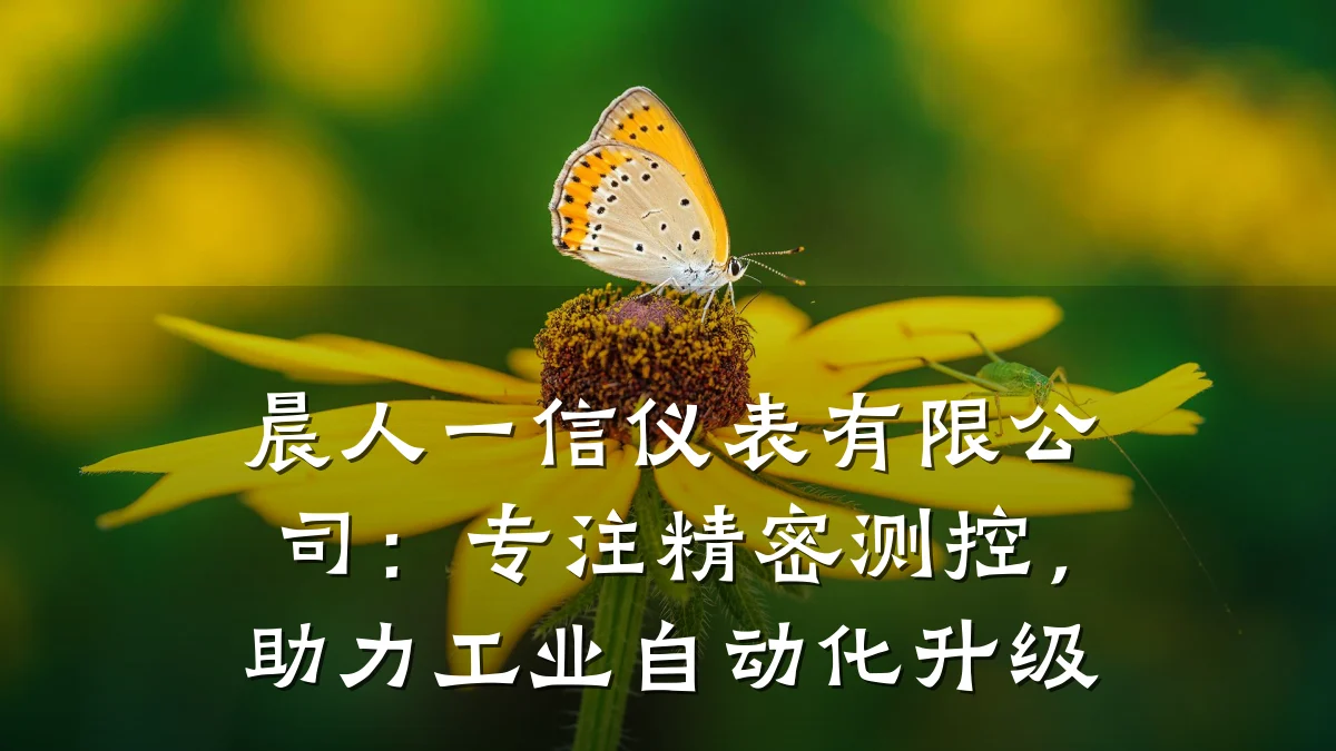 晨人一信仪表有限公司:专注精密测控,助力工业自动化升级
