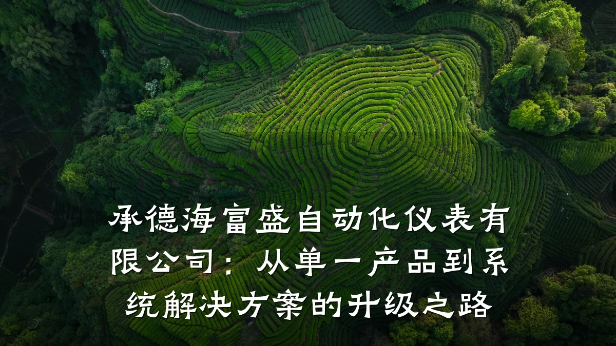 承德海富盛自动化仪表有限公司:从单一产品到系统解决方案的升级之路