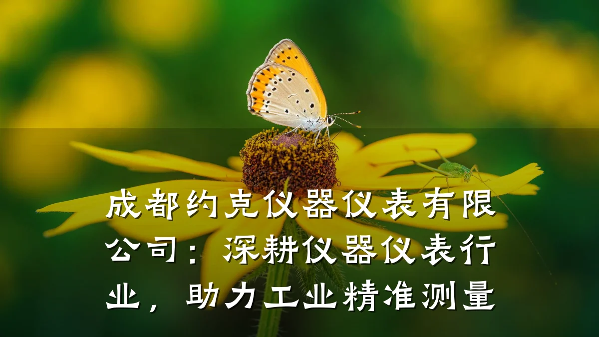 成都约克仪器仪表有限公司：深耕仪器仪表行业，助力工业精准测量