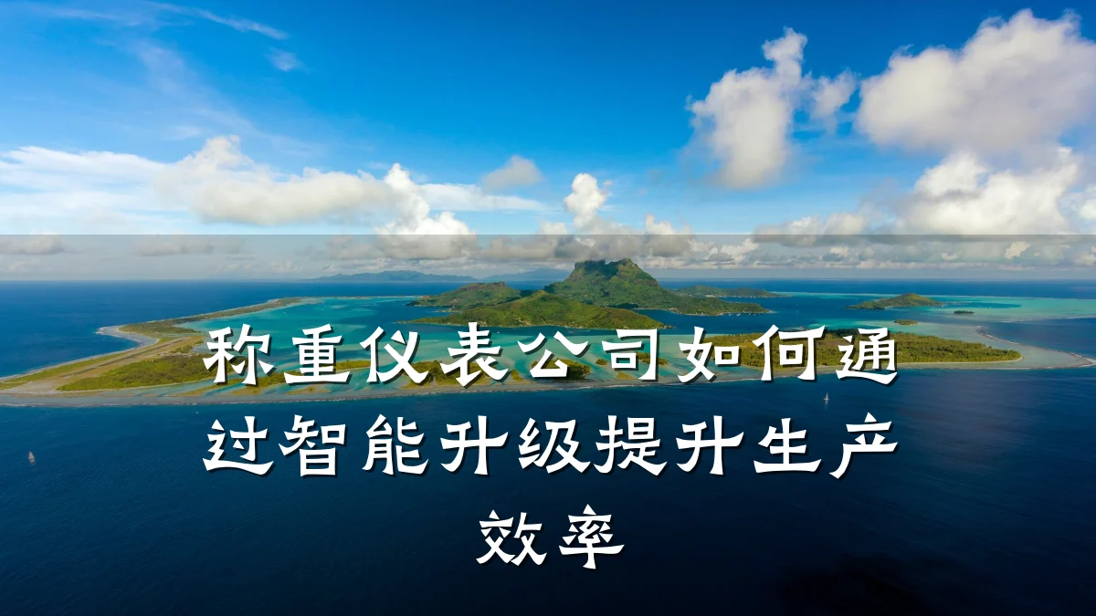 称重仪表公司如何通过智能升级提升生产效率