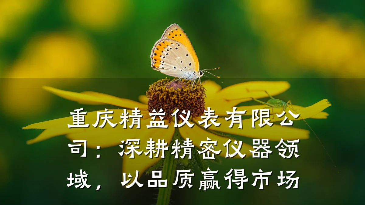 重庆精益仪表有限公司：深耕精密仪器领域，以品质赢得市场