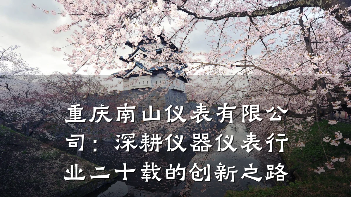 重庆南山仪表有限公司:深耕仪器仪表行业二十载的创新之路