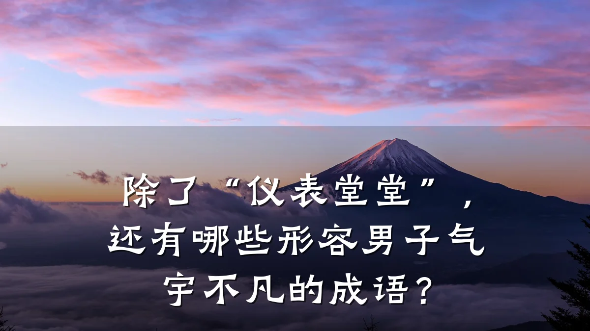 除了“仪表堂堂”,还有哪些形容男子气宇不凡的成语?