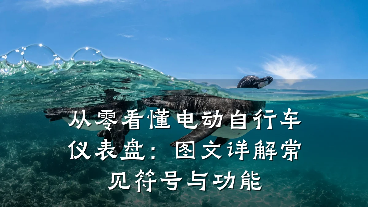 从零看懂电动自行车仪表盘：图文详解常见符号与功能