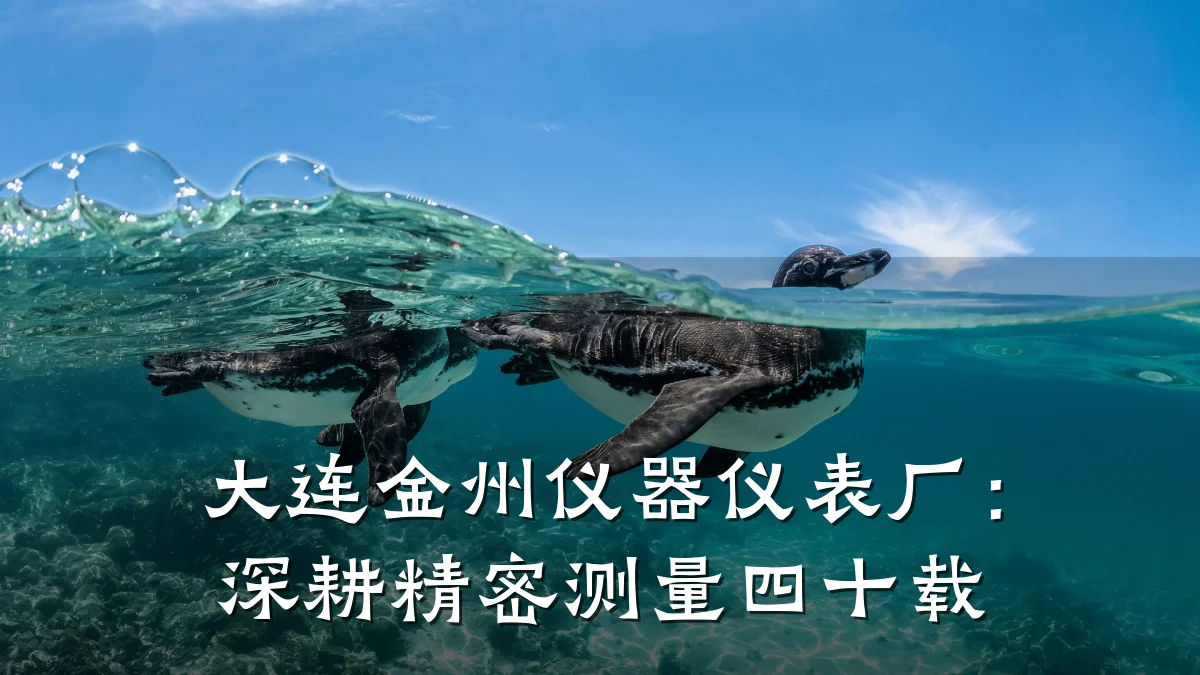 大连金州仪器仪表厂:深耕精密测量四十载