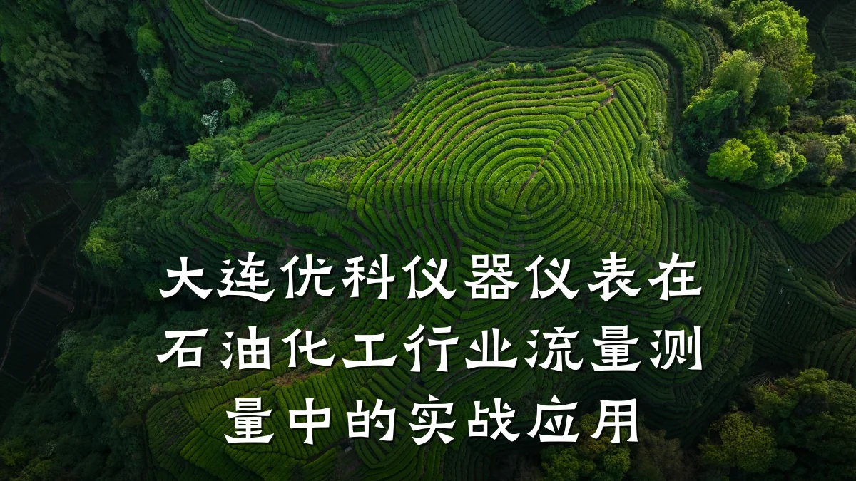 大连优科仪器仪表在石油化工行业流量测量中的实战应用