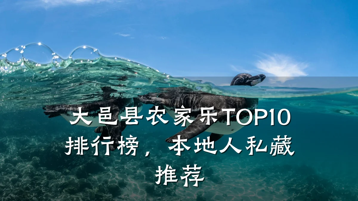 大邑县农家乐TOP10排行榜,本地人私藏推荐