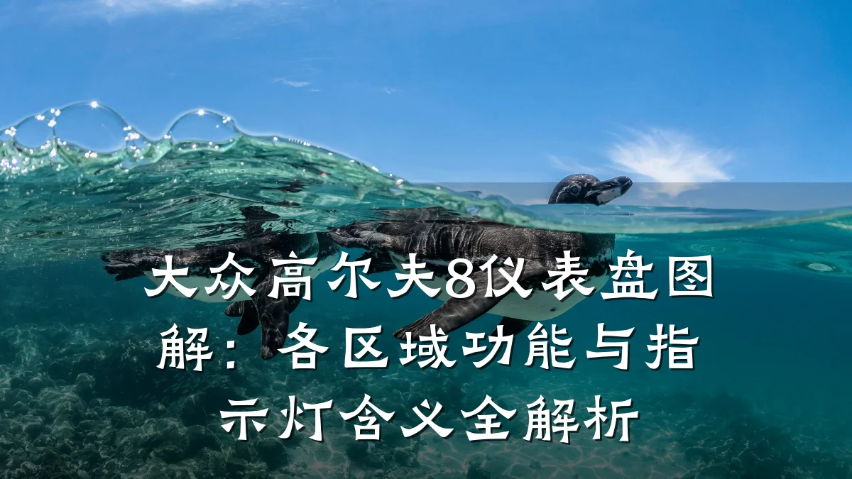 大众高尔夫8仪表盘图解:各区域功能与指示灯含义全解析