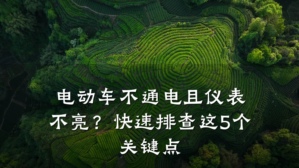 电动车不通电且仪表不亮?快速排查这5个关键点