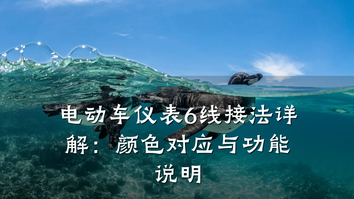 电动车仪表6线接法详解:颜色对应与功能说明