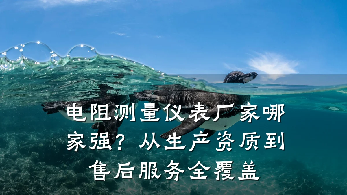 电阻测量仪表厂家哪家强?从生产资质到售后服务全覆盖