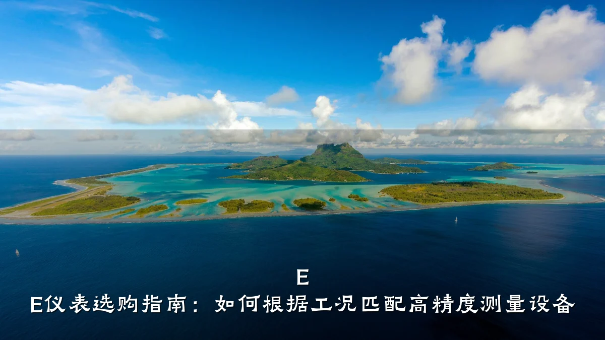 E E仪表选购指南：如何根据工况匹配高精度测量设备
