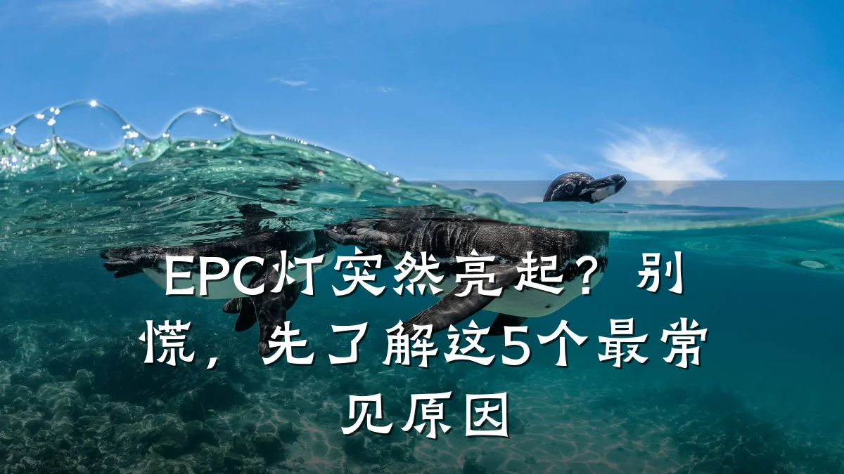 EPC灯突然亮起？别慌，先了解这5个最常见原因