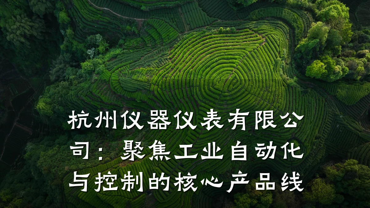 杭州仪器仪表有限公司:聚焦工业自动化与控制的核心产品线