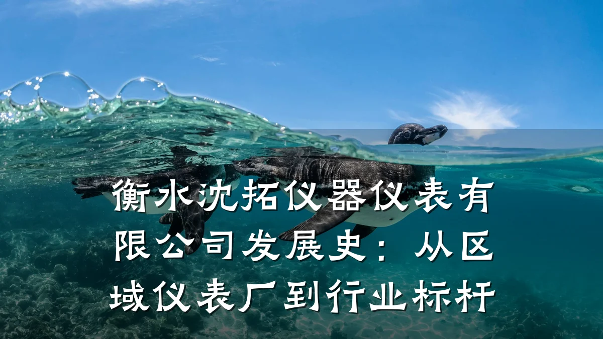 衡水沈拓仪器仪表有限公司发展史:从区域仪表厂到行业标杆