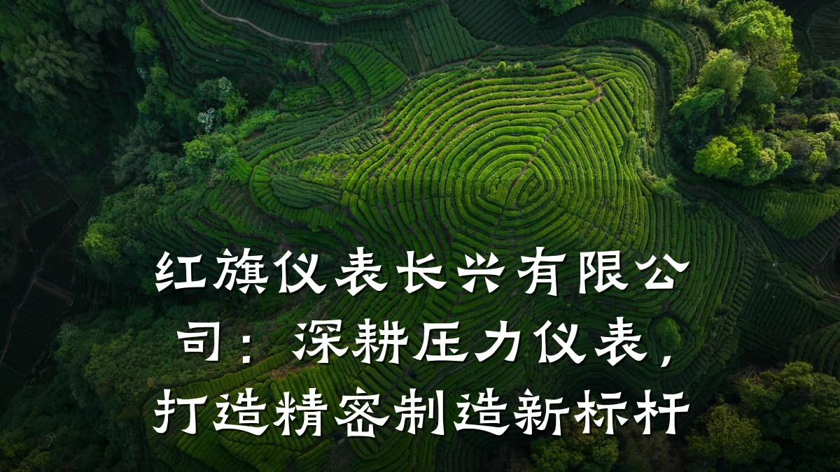 红旗仪表长兴有限公司：深耕压力仪表，打造精密制造新标杆