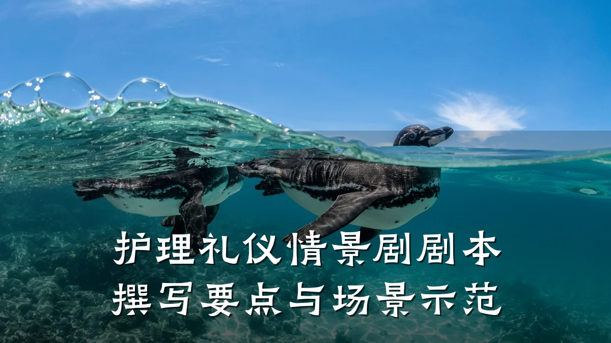 护理礼仪情景剧剧本撰写要点与场景示范