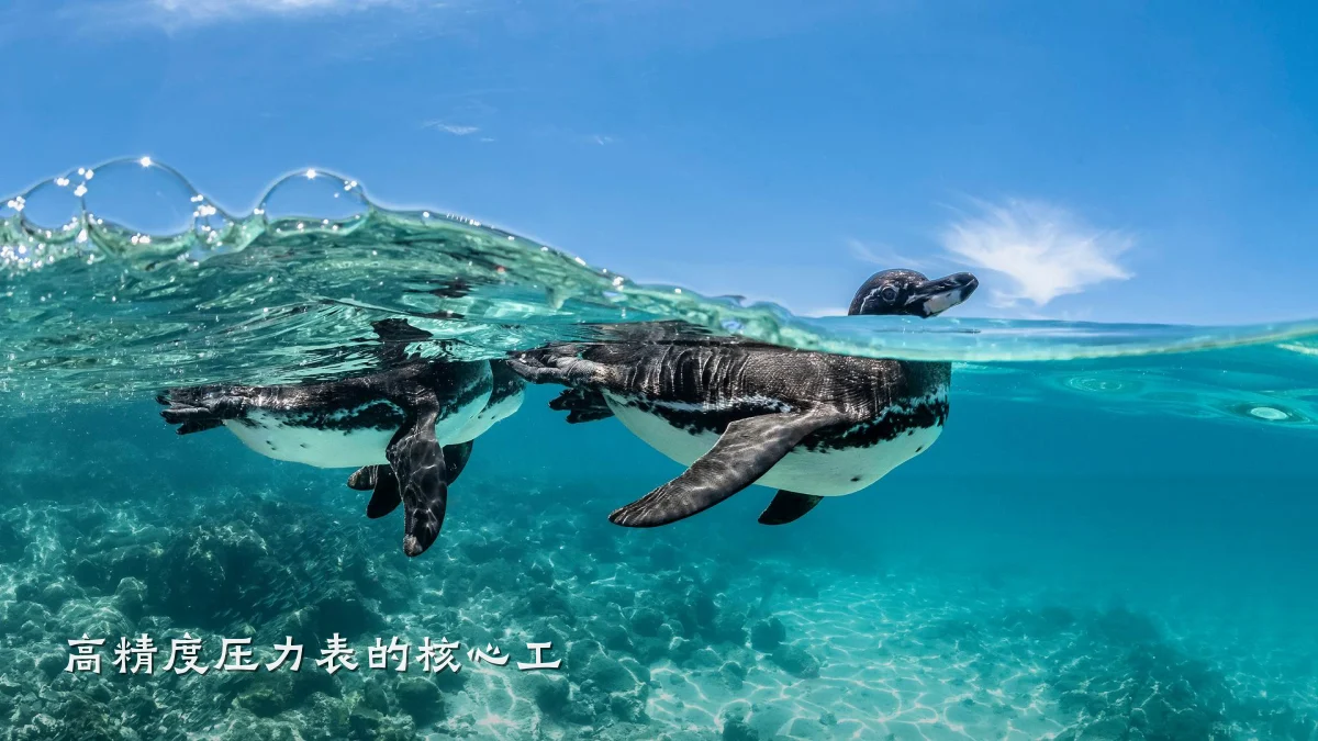 高精度压力表的核心工