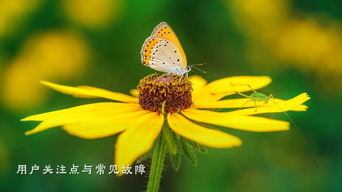 用户关注点与常见故障