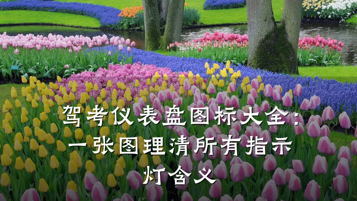 驾考仪表盘图标大全：一张图理清所有指示灯含义
