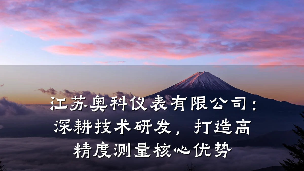 江苏奥科仪表有限公司：深耕技术研发，打造高精度测量核心优势