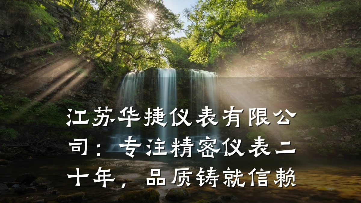 江苏华捷仪表有限公司：专注精密仪表二十年，品质铸就信赖