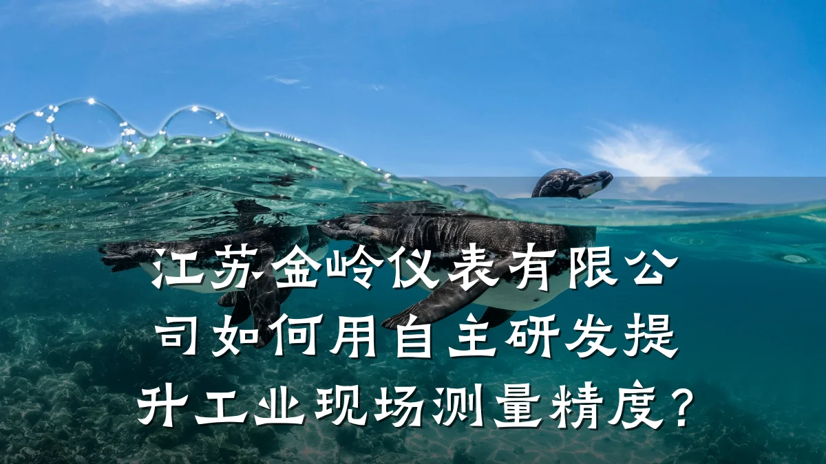 江苏金岭仪表有限公司如何用自主研发提升工业现场测量精度?